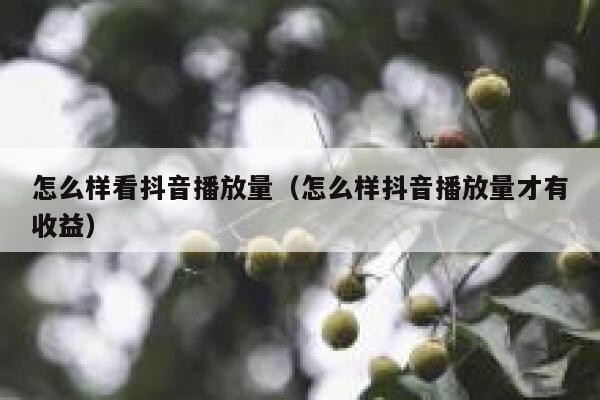 怎么样看抖音播放量（怎么样抖音播放量才有收益） 第1张