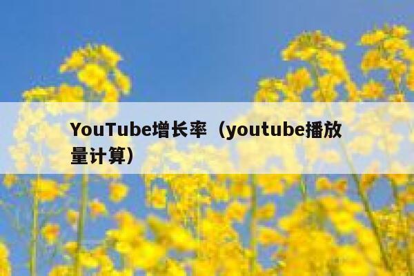 YouTube增长率（youtube播放量计算） 第1张