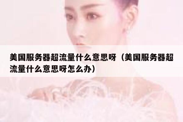 美国服务器超流量什么意思呀（美国服务器超流量什么意思呀怎么办） 第1张