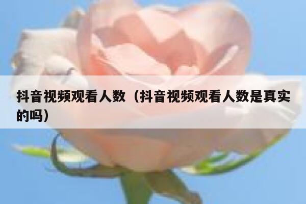 抖音视频观看人数（抖音视频观看人数是真实的吗） 第1张