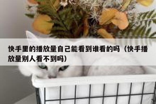 快手里的播放量自己能看到谁看的吗（快手播放量别人看不到吗） 第1张