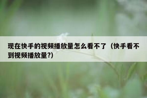 现在快手的视频播放量怎么看不了（快手看不到视频播放量?） 第1张