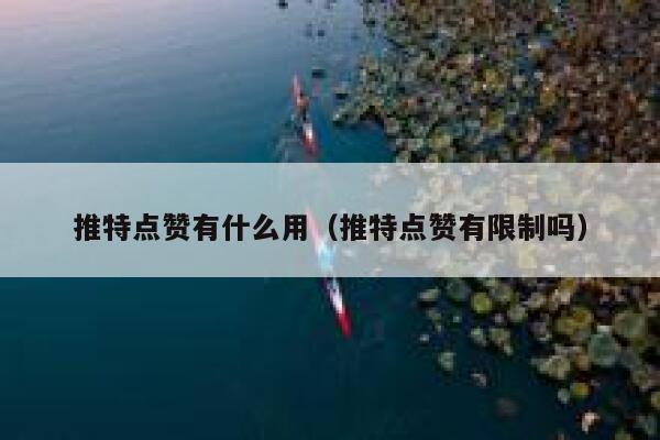 推特点赞有什么用（推特点赞有限制吗） 第1张