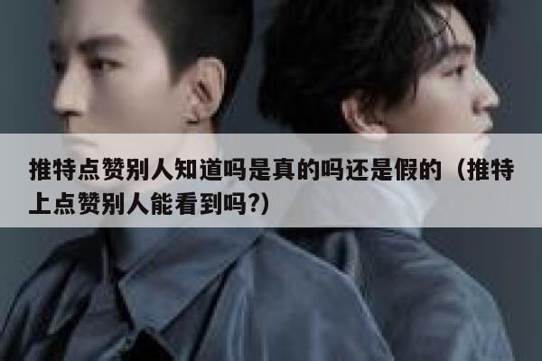 推特点赞别人知道吗是真的吗还是假的（推特上点赞别人能看到吗?） 第1张
