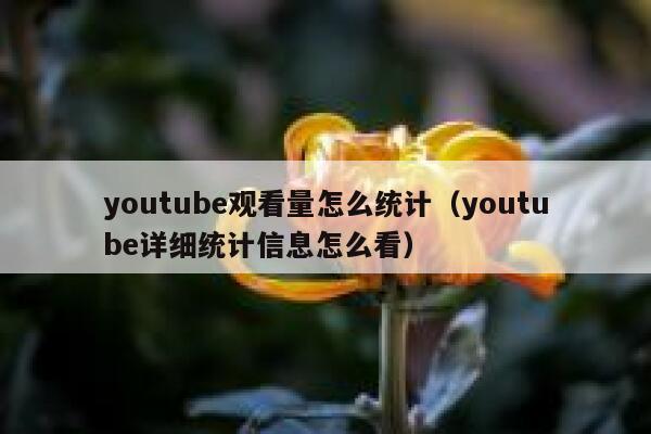youtube观看量怎么统计（youtube详细统计信息怎么看） 第1张