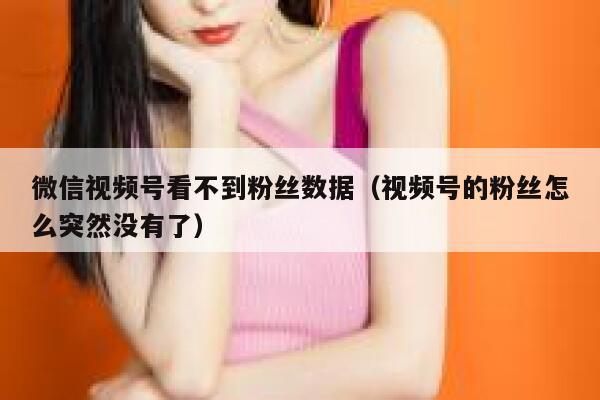 微信视频号看不到粉丝数据（视频号的粉丝怎么突然没有了） 第1张