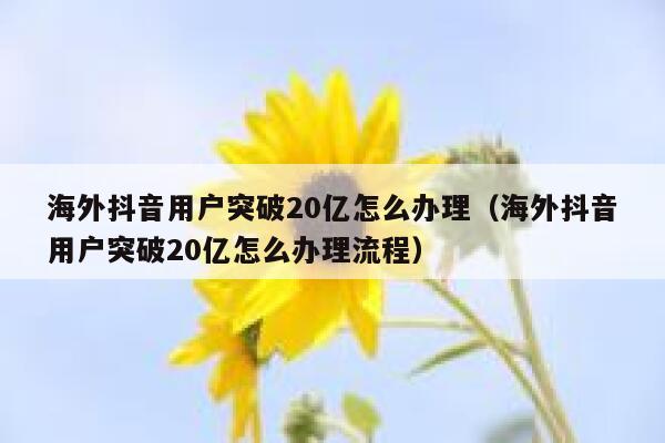 海外抖音用户突破20亿怎么办理（海外抖音用户突破20亿怎么办理流程） 第1张