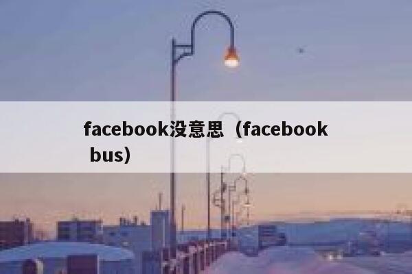 facebook没意思（facebook bus） 第1张