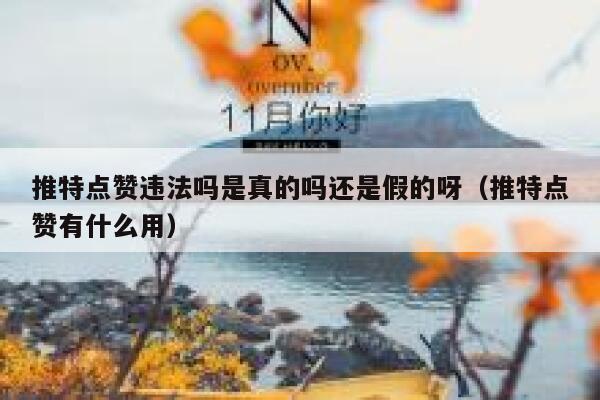 推特点赞违法吗是真的吗还是假的呀（推特点赞有什么用） 第1张