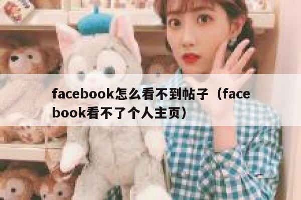 facebook怎么看不到帖子（facebook看不了个人主页） 第1张