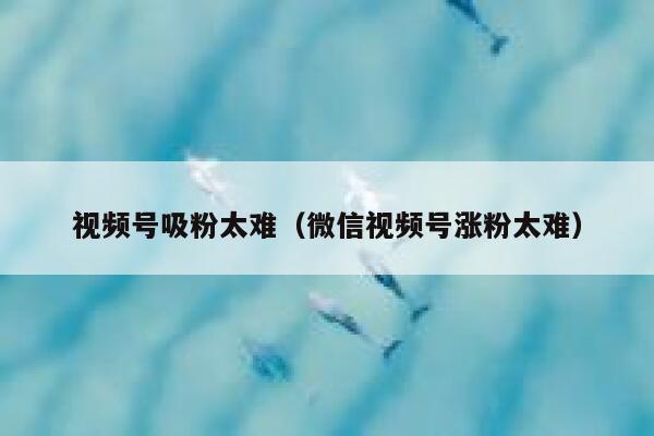 视频号吸粉太难（微信视频号涨粉太难） 第1张