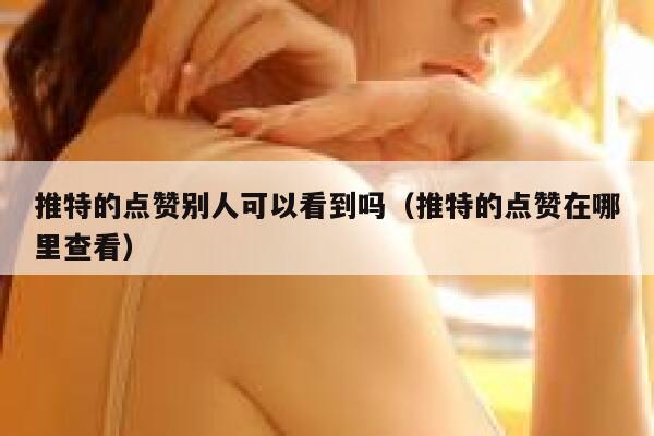 推特的点赞别人可以看到吗（推特的点赞在哪里查看） 第1张