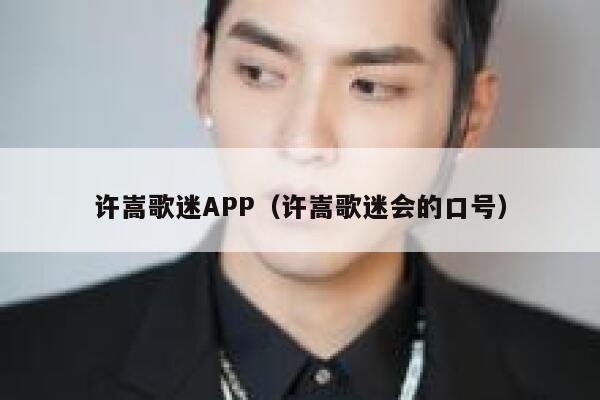 许嵩歌迷APP（许嵩歌迷会的口号） 第1张