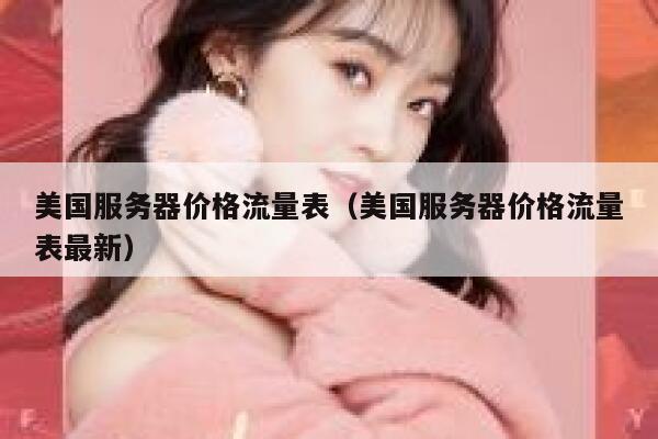 美国服务器价格流量表（美国服务器价格流量表最新） 第1张