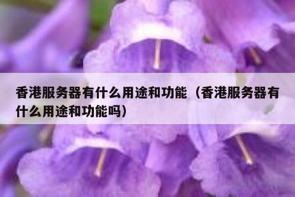 香港服务器有什么用途和功能（香港服务器有什么用途和功能吗） 第1张