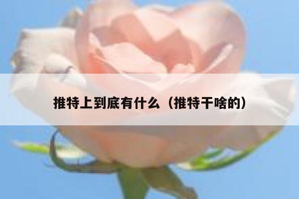 推特上到底有什么（推特干啥的） 第1张