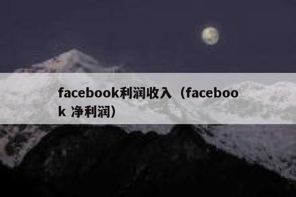 facebook利润收入（facebook 净利润） 第1张