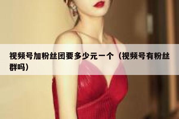 视频号加粉丝团要多少元一个（视频号有粉丝群吗） 第1张