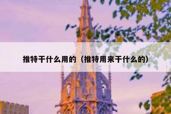 推特干什么用的（推特用来干什么的） 第1张
