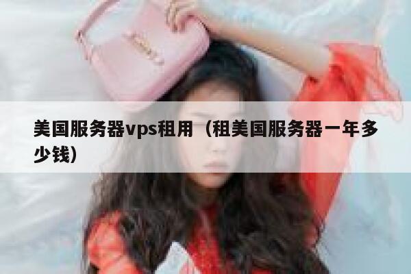 美国服务器vps租用（租美国服务器一年多少钱） 第1张