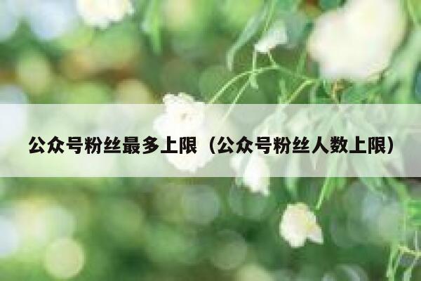 公众号粉丝最多上限（公众号粉丝人数上限） 第1张