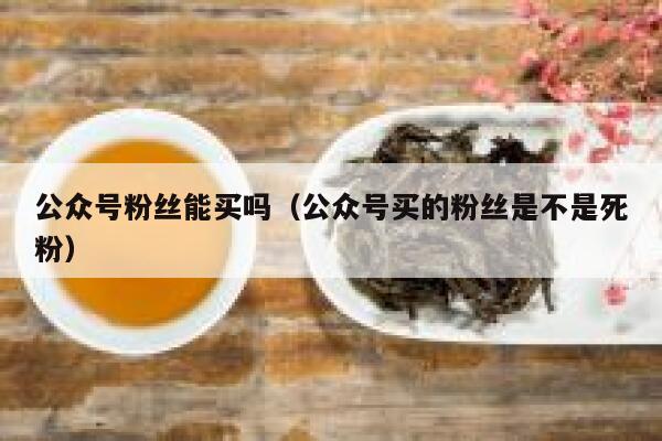 公众号粉丝能买吗（公众号买的粉丝是不是死粉） 第1张