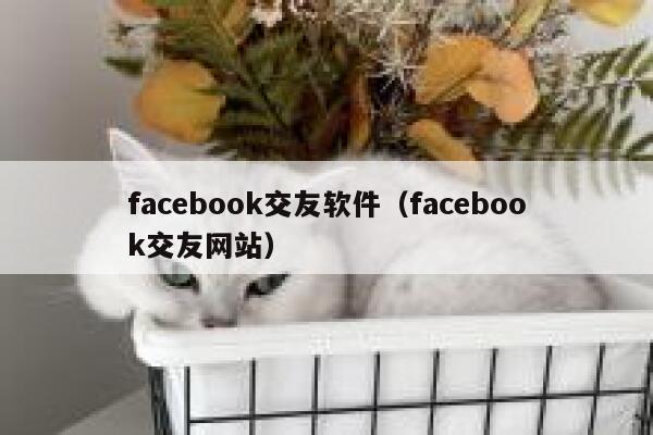 facebook交友软件（facebook交友网站） 第1张