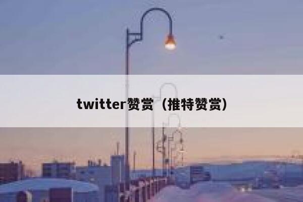 twitter赞赏（推特赞赏） 第1张