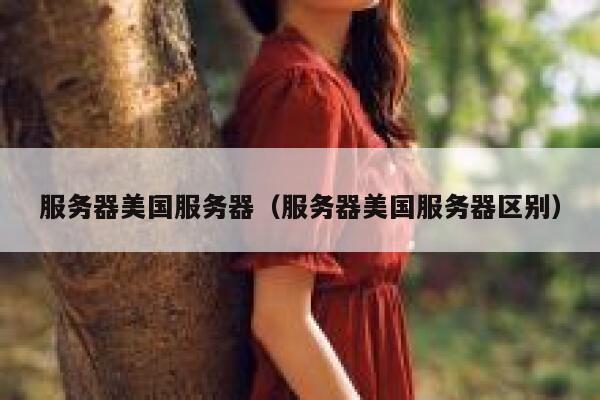 服务器美国服务器（服务器美国服务器区别） 第1张