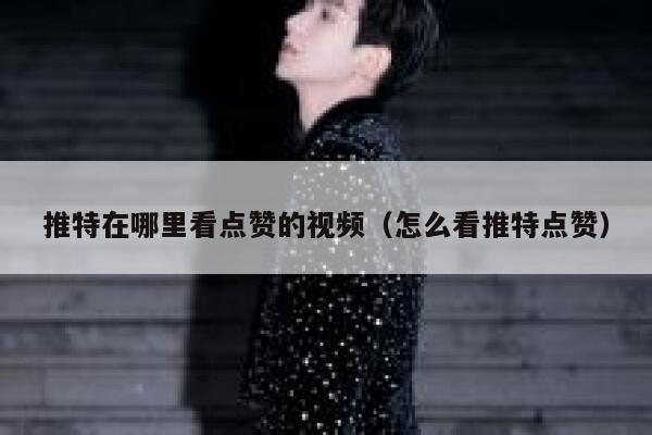 推特在哪里看点赞的视频（怎么看推特点赞） 第1张