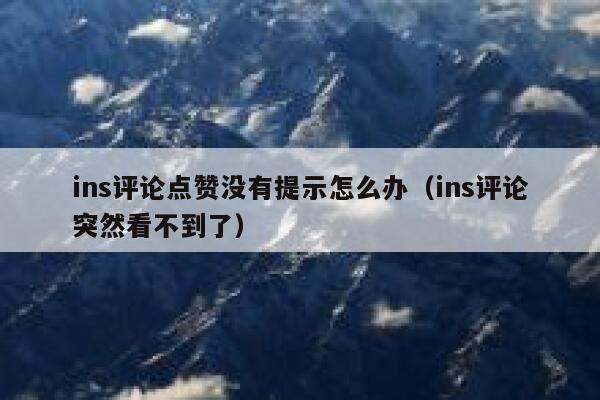 ins评论点赞没有提示怎么办（ins评论突然看不到了） 第1张