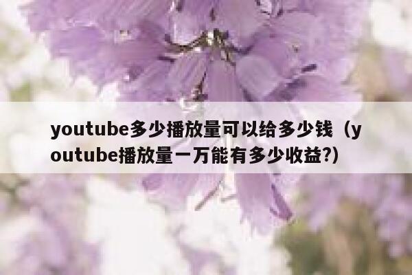 youtube多少播放量可以给多少钱（youtube播放量一万能有多少收益?） 第1张