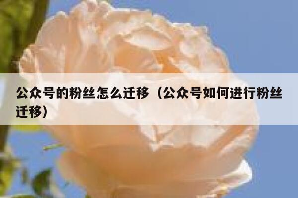 公众号的粉丝怎么迁移（公众号如何进行粉丝迁移） 第1张