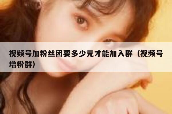 视频号加粉丝团要多少元才能加入群（视频号增粉群） 第1张