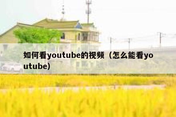 如何看youtube的视频（怎么能看youtube） 第1张