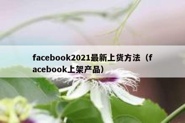 facebook2021最新上货方法（facebook上架产品） 第1张