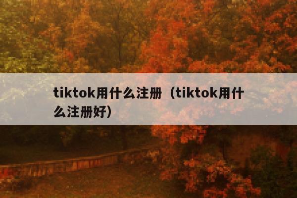 tiktok用什么注册（tiktok用什么注册好） 第1张