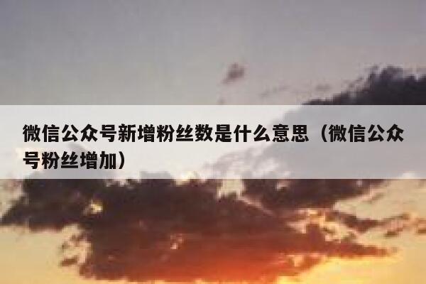 微信公众号新增粉丝数是什么意思（微信公众号粉丝增加） 第1张