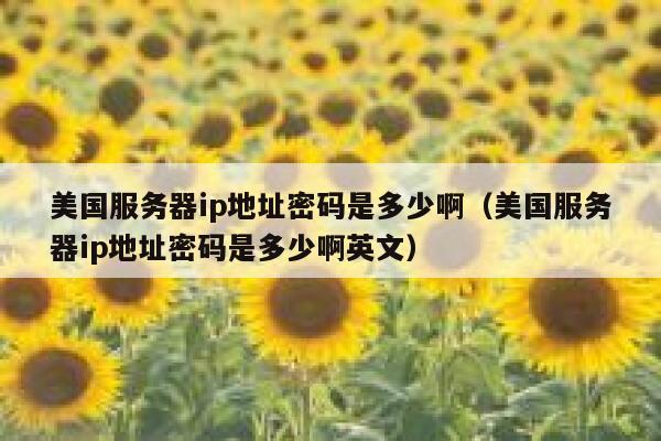 美国服务器ip地址密码是多少啊（美国服务器ip地址密码是多少啊英文） 第1张