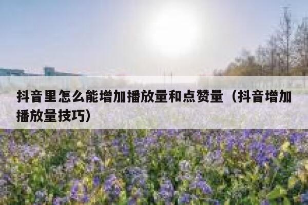 抖音里怎么能增加播放量和点赞量（抖音增加播放量技巧） 第1张