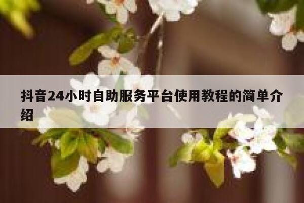 抖音24小时自助服务平台使用教程的简单介绍 第1张