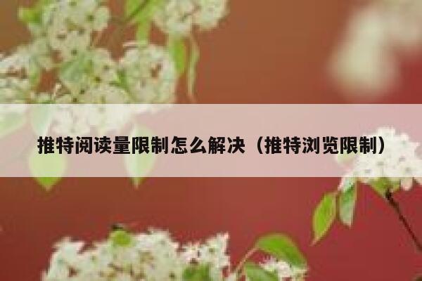 推特阅读量限制怎么解决（推特浏览限制） 第1张