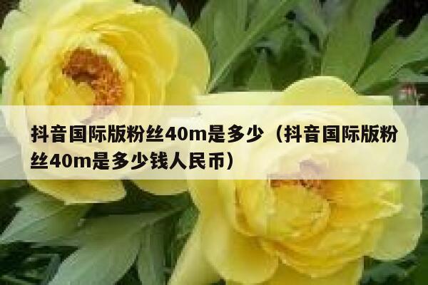 抖音国际版粉丝40m是多少（抖音国际版粉丝40m是多少钱人民币） 第1张