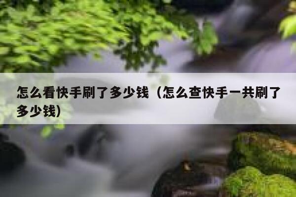 怎么看快手刷了多少钱（怎么查快手一共刷了多少钱） 第1张
