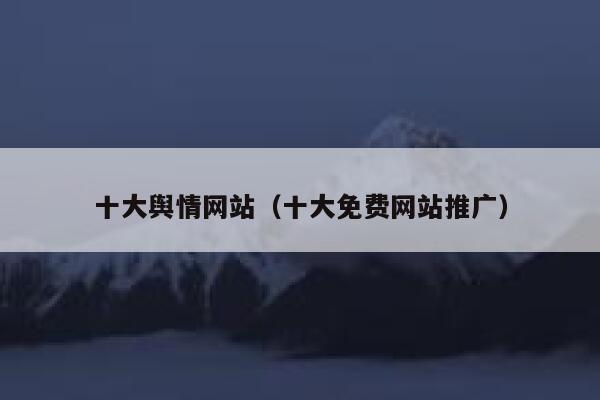 十大舆情网站（十大免费网站推广） 第1张
