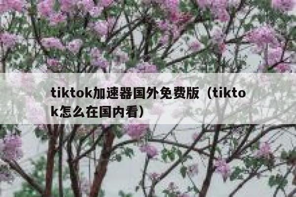 tiktok加速器国外免费版（tiktok怎么在国内看） 第1张