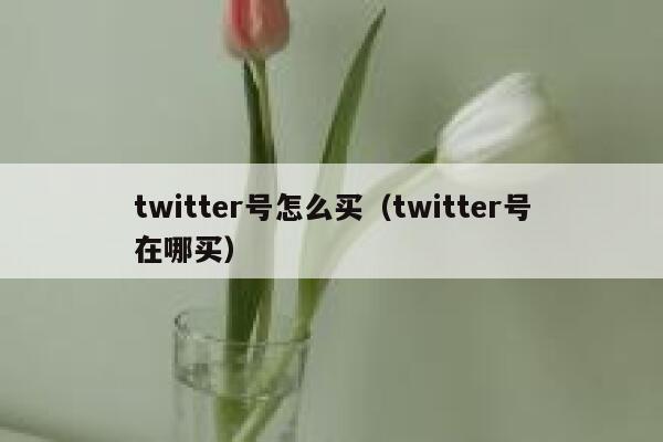 twitter号怎么买（twitter号在哪买） 第1张