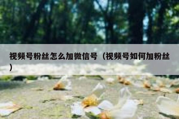 视频号粉丝怎么加微信号（视频号如何加粉丝） 第1张