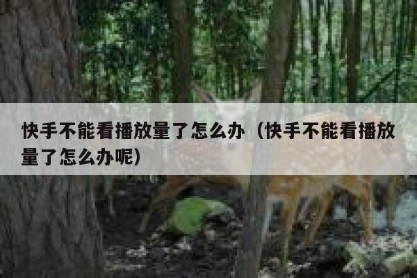 快手不能看播放量了怎么办（快手不能看播放量了怎么办呢） 第1张