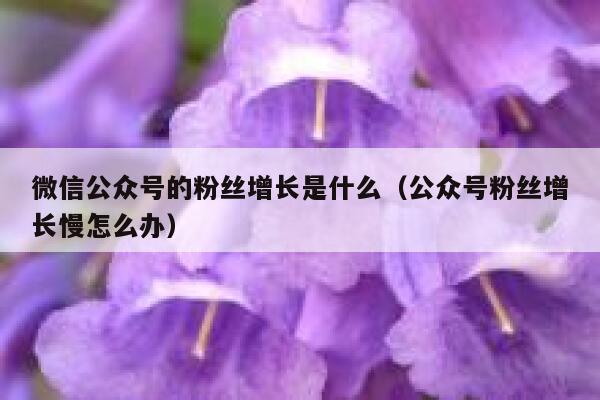 微信公众号的粉丝增长是什么（公众号粉丝增长慢怎么办） 第1张